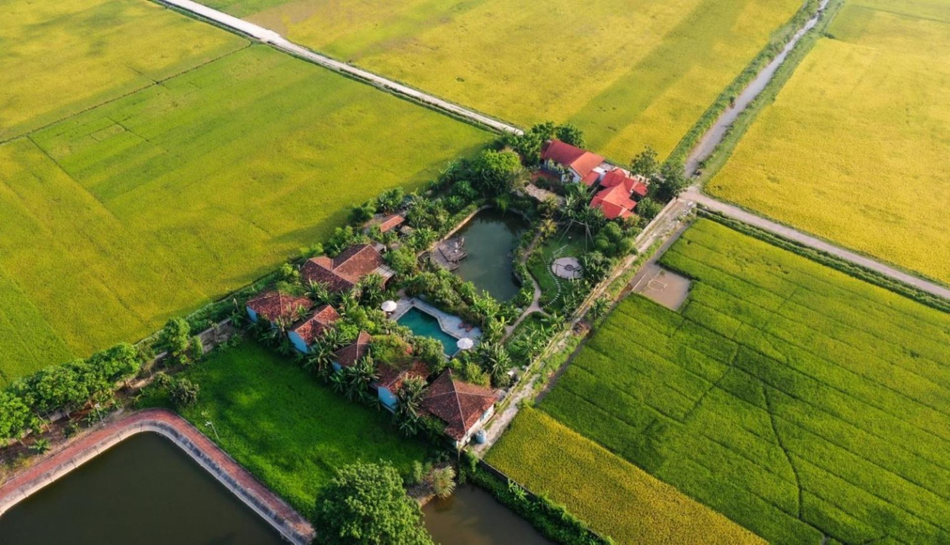 Chezcao Rice Field Ecolodge Ninh Binh Exterior foto